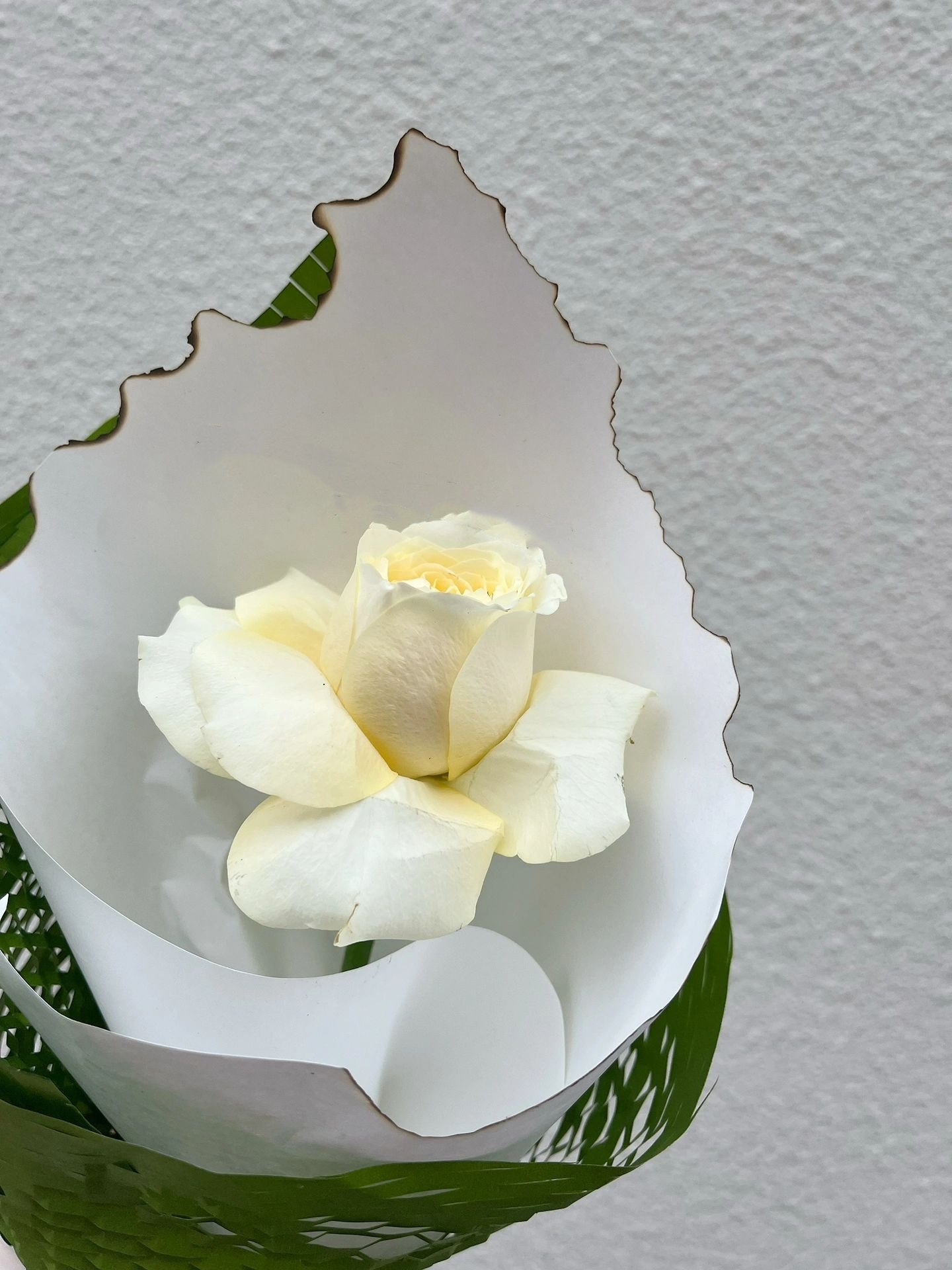 QiXi Special Hand Bouquet 1004--0